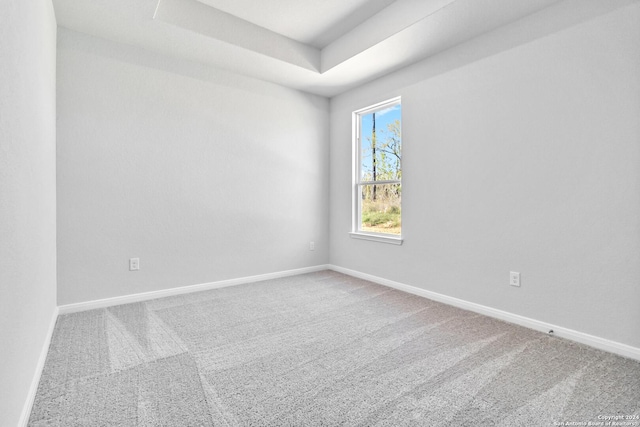 empty room featuring carpet floors and a raised ceiling