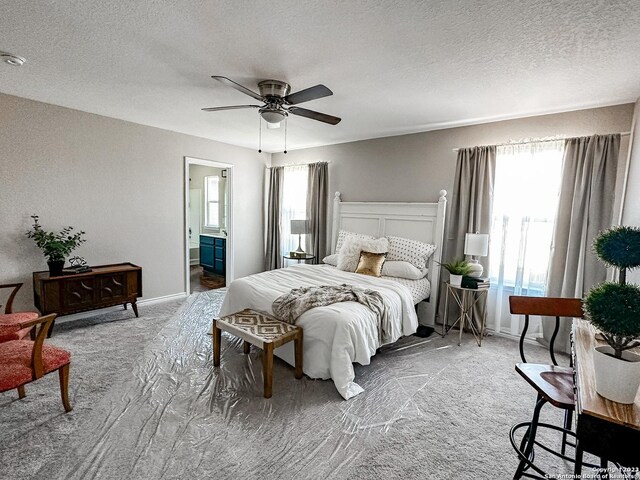 carpeted bedroom with ceiling fan, ensuite bathroom, multiple windows, and a textured ceiling