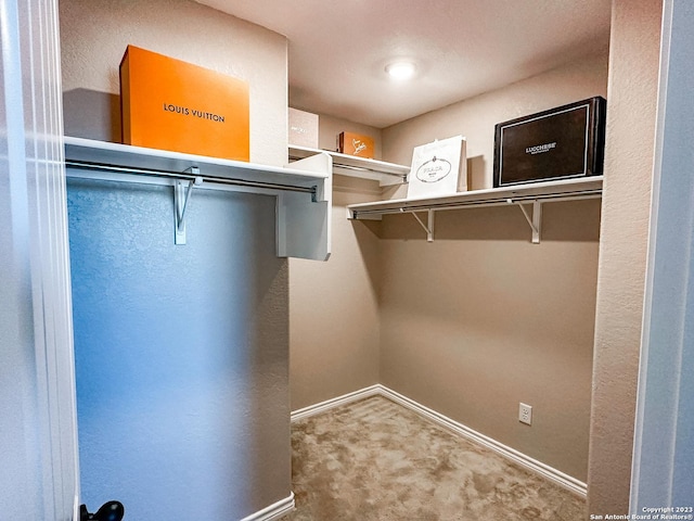 walk in closet with carpet