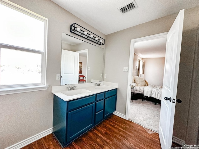 bathroom featuring hardwood / wood-style flooring and vanity