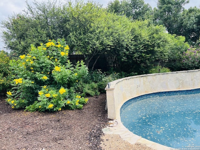 view of swimming pool featuring a fenced in pool and fence