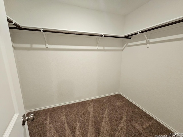 walk in closet with carpet