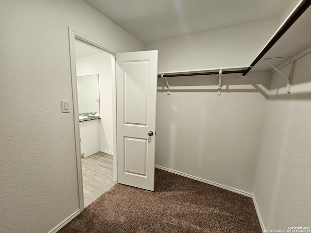 walk in closet with carpet flooring