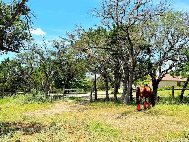 view of yard featuring a rural view