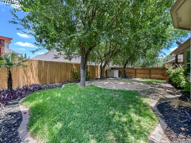 view of yard featuring a patio