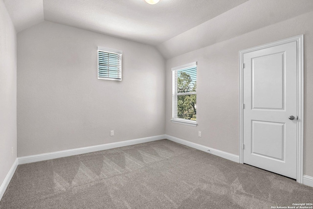 interior space with lofted ceiling and carpet floors