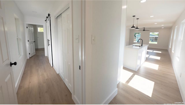 hall featuring sink, a barn door, and light wood-type flooring