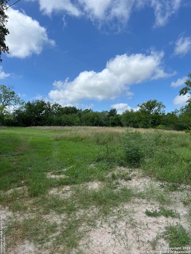 view of local wilderness