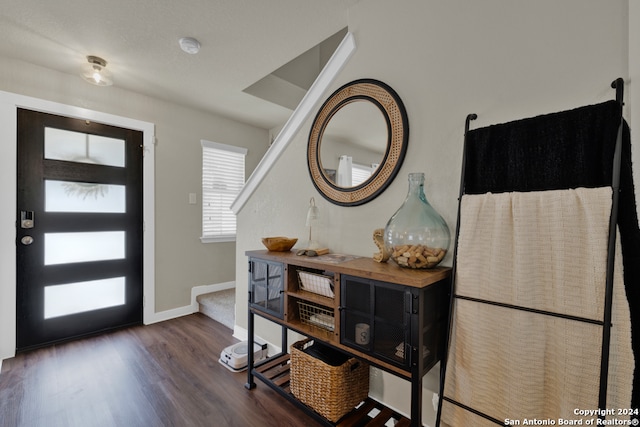 entrance foyer with dark wood-type flooring