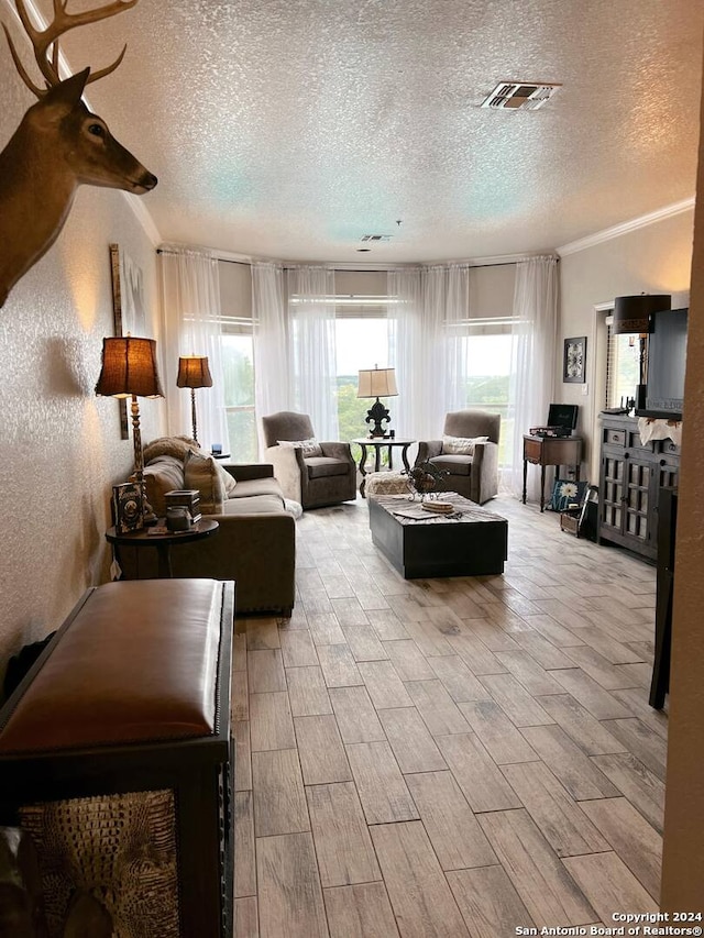 living room featuring a textured ceiling, light wood-type flooring, and a wealth of natural light