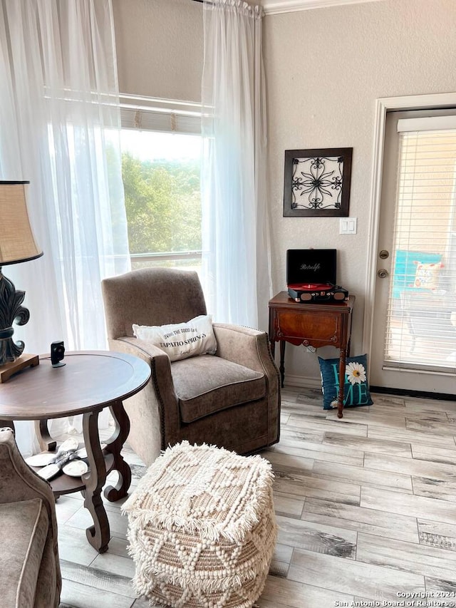 living area with light hardwood / wood-style floors