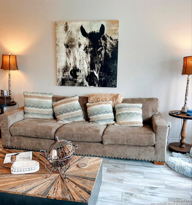 living room featuring light hardwood / wood-style flooring