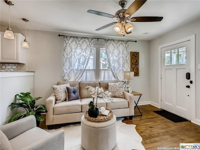 living room with ceiling fan and hardwood / wood-style flooring