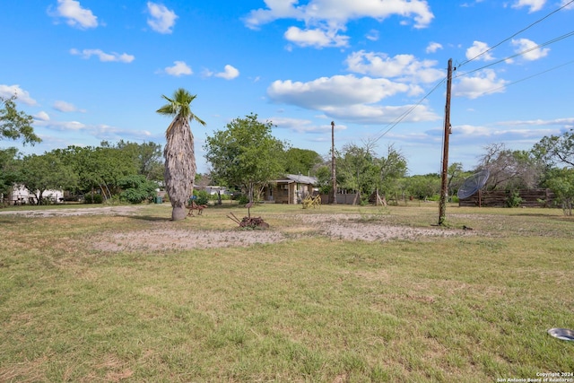 view of yard