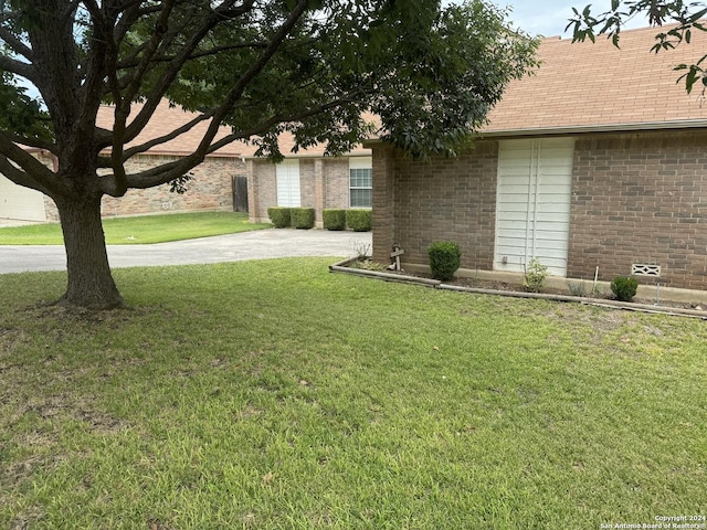 view of yard featuring driveway