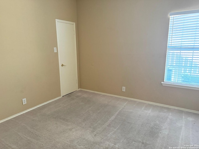 spare room featuring carpet floors