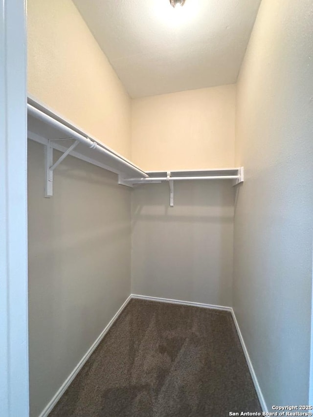 walk in closet featuring carpet floors