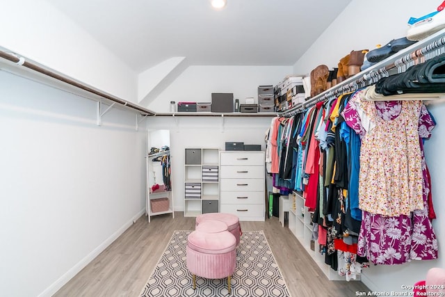 spacious closet featuring light wood finished floors