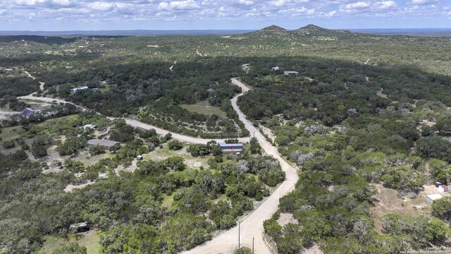 drone / aerial view with a mountain view