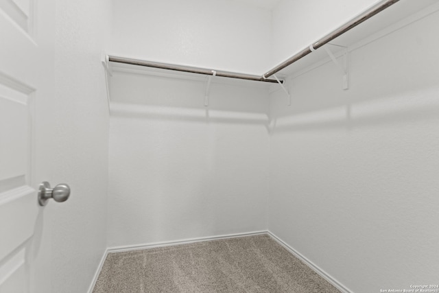 spacious closet featuring carpet