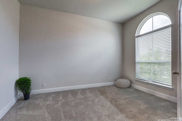 carpeted empty room featuring a wealth of natural light