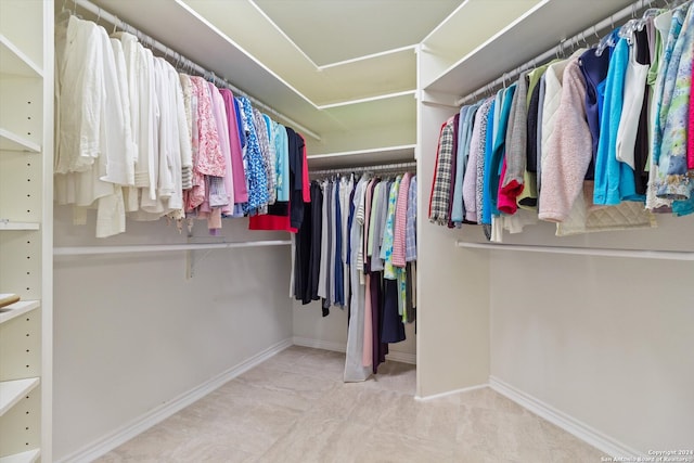 view of spacious closet