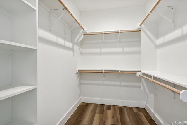 spacious closet featuring dark wood-type flooring