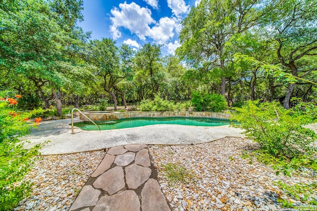 view of swimming pool with a patio