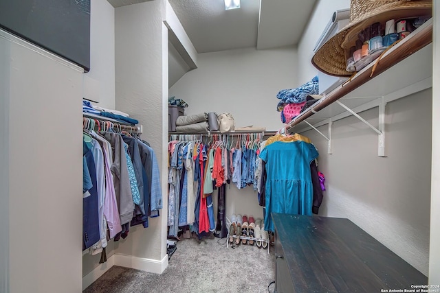 walk in closet featuring carpet floors