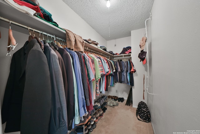 spacious closet featuring carpet