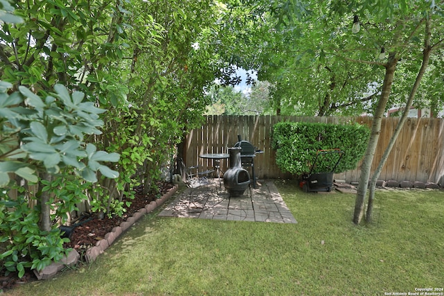 view of yard with a patio