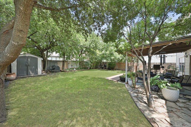 view of yard with a patio area and a storage unit