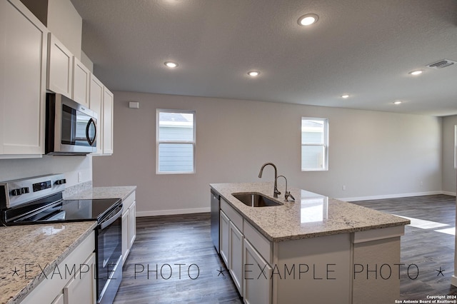 kitchen featuring appliances with stainless steel finishes, a kitchen island with sink, sink, and plenty of natural light