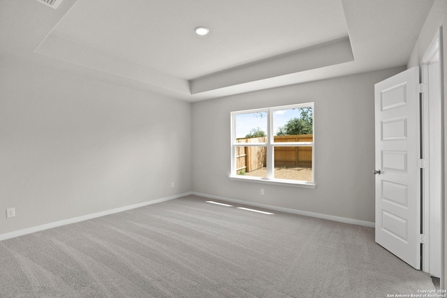 spare room featuring a raised ceiling and light carpet