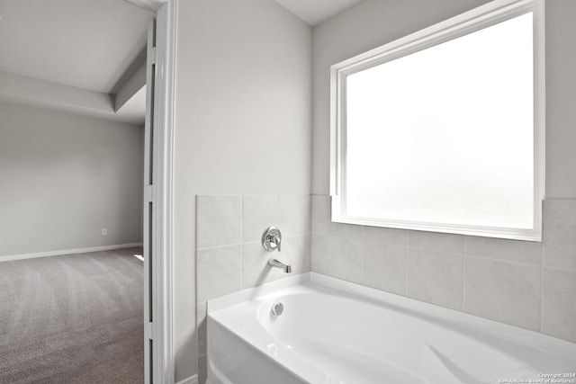 bathroom with a washtub