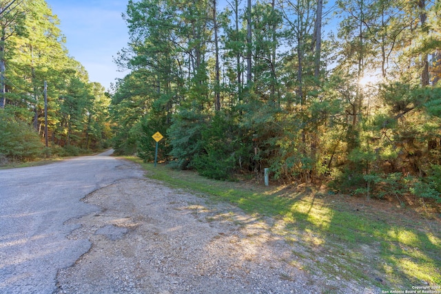 Listing photo 2 for TBD Hekili Dr, Bastrop TX 78602