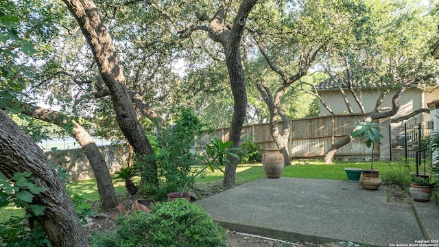 view of yard with a patio area