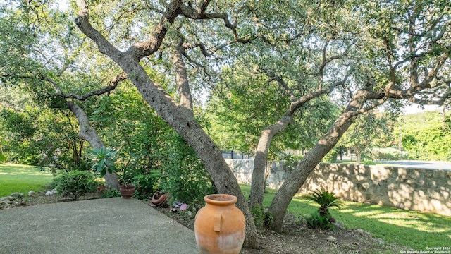 view of yard with a patio