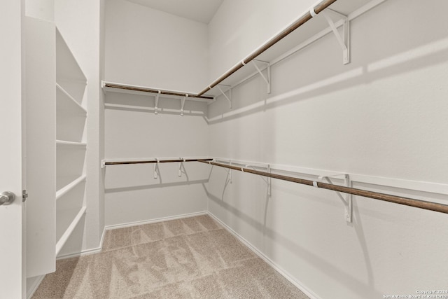 spacious closet with light carpet