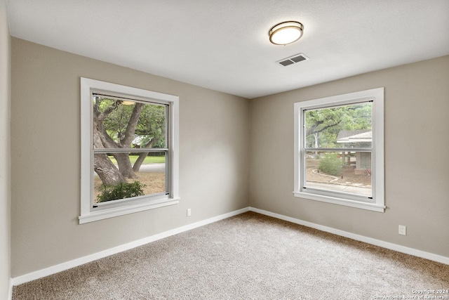 empty room featuring plenty of natural light and carpet