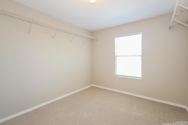 spacious closet featuring carpet flooring