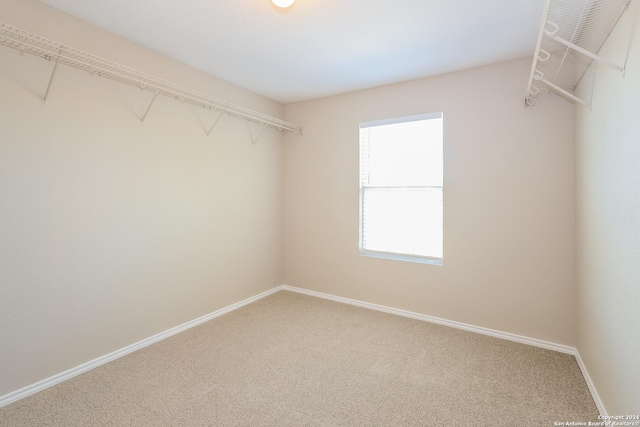 walk in closet featuring carpet flooring