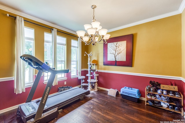 exercise room featuring hardwood / wood-style flooring, a healthy amount of sunlight, and crown molding