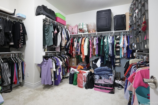 spacious closet featuring carpet