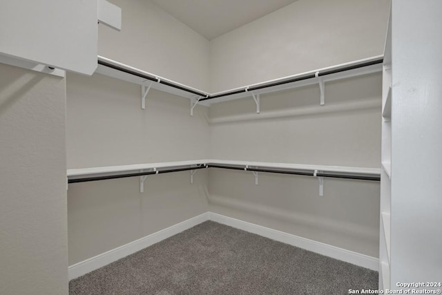 spacious closet with carpet floors