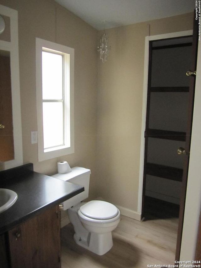 bathroom featuring toilet, wood finished floors, and vanity