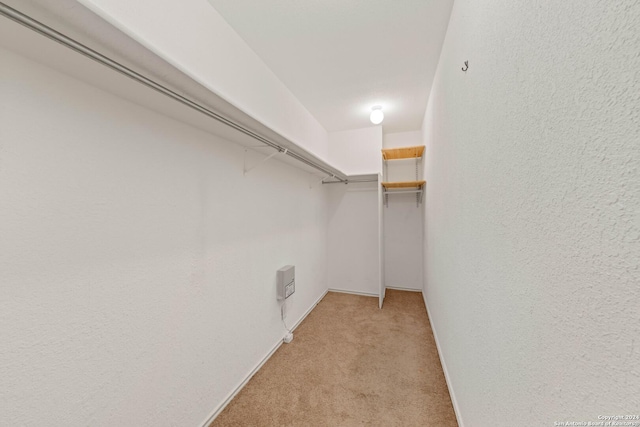 walk in closet featuring light colored carpet