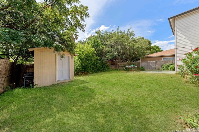 view of yard featuring a shed