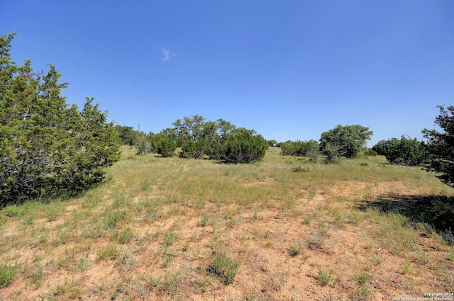 Listing photo 3 for 104 William Tobin, Blanco TX 78606