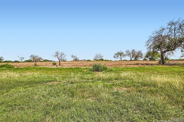 view of yard with a rural view